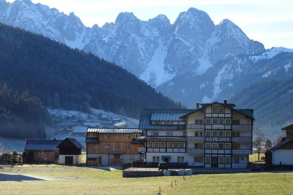 Das Almsternderl - Gemuetliche Wohnung In Gosau Eksteriør billede