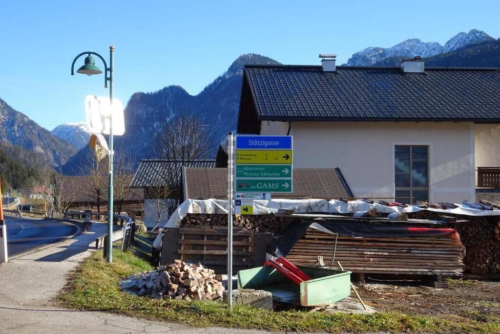 Das Almsternderl - Gemuetliche Wohnung In Gosau Eksteriør billede