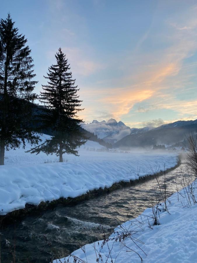 Das Almsternderl - Gemuetliche Wohnung In Gosau Eksteriør billede