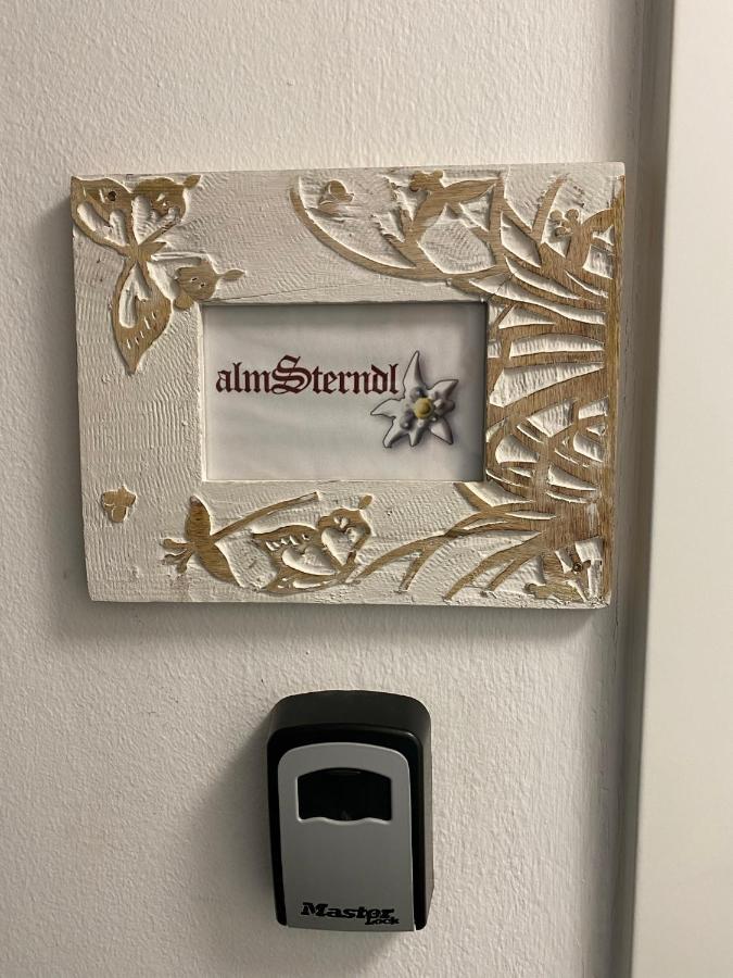 Das Almsternderl - Gemuetliche Wohnung In Gosau Eksteriør billede